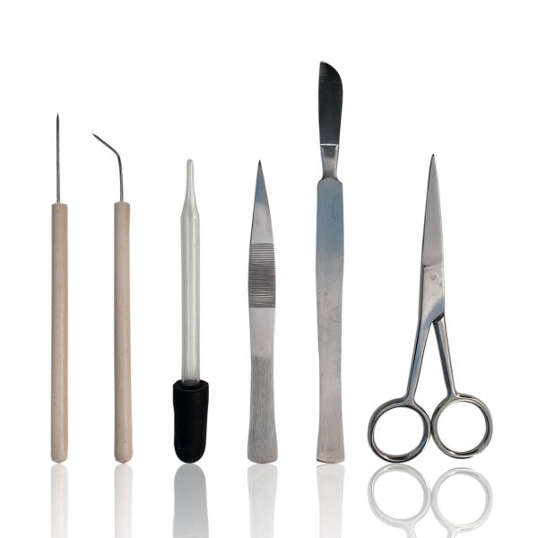 Cynamed Zippy Student Science Dissecting Kit with Standard Scalpel (6 Pieces)